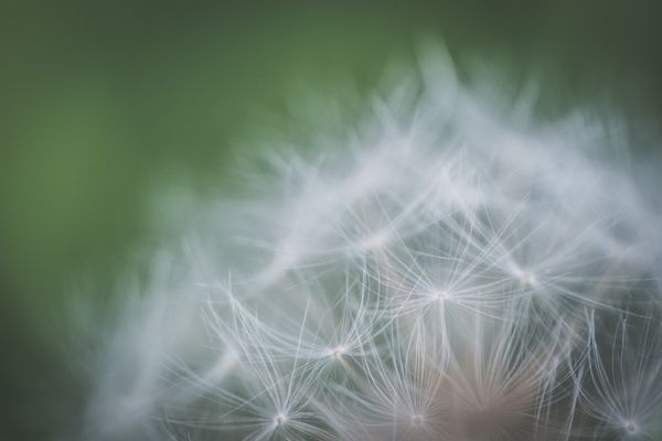 Cover Photo